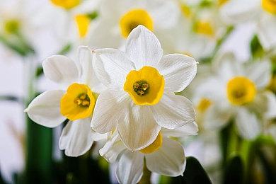 《切尔诺贝利人2》即将众筹 2025年登陆多平台